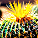 Golden Barrel Cactus (Echinocactus Grusonii)